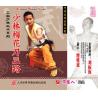 少林五形拳--正宗少林武术系列   1VCD