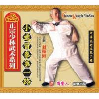 大洪拳第一路--正宗少林武术系列   1VCD