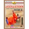 南院大通臂一路--少林传统功夫老架捶谱   1DVD