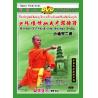 小通臂二路--少林传统功夫老架捶谱   1DVD
