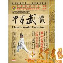 中华武藏 嵩山少林寺拳谱之9 少林长护心意门[2DVD]主讲演练：王宗仁