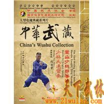 中华武藏 嵩山少林寺拳谱之32 少林大通臂拳[1DVD]