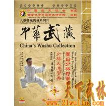 中华武藏 嵩山少林寺拳谱之35 少林大通臂拳[1DVD]