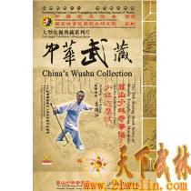 中华武藏 嵩山少林寺拳谱之59 少林达摩杖[2DVD]