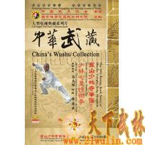 中华武藏 嵩山少林寺拳谱之69 少林七星螳螂拳[1DVD]