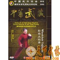 傅声远:嫡传杨家太极拳系列之三 轮椅太极拳  1DVD