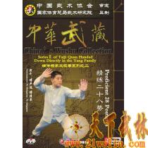 傅声远 傅清泉 :嫡传杨家太极拳系列之二 精练二十八势  2DVD